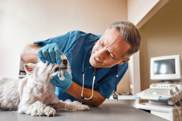 Best Weekend Emergency Dentist in China Spring, TX